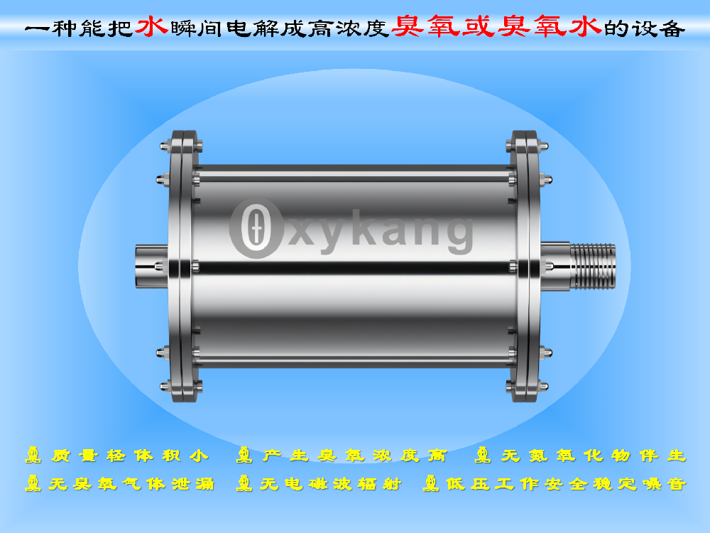过流式电解臭氧水生成器