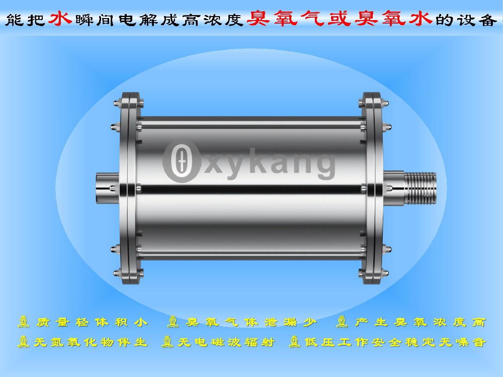 过流式电解臭氧水生成器